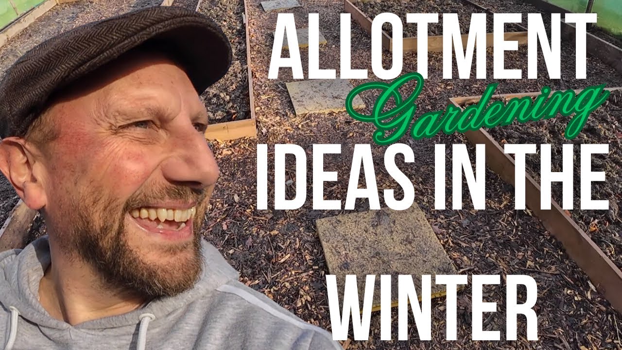 ALLOTMENT ALLOTMENT GARDEN ALLOTMENT BEGINNERS JANUARY IDEAS