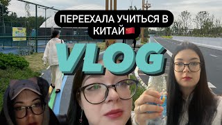 VLOG переехала учиться в Китай одна в 18 лет🇨🇳