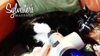 SCOTT KATSURA - Sylvester&#39;s Massage (Scott &amp; Gerard&#39;s Furbaby/HD)