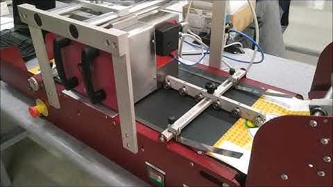 Savema Feeder-Conveyor Belt and TTO for Serbia Product Sample