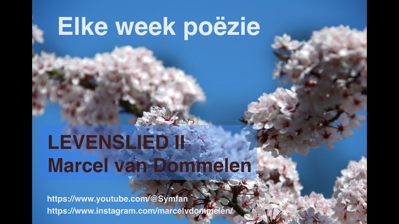 Levenslied II - DOOD gaan we toch