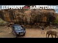 Visiting 42 Baby Elephants in Samburu Kenya 🐘