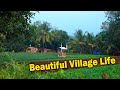 Beautiful  village life in gujarat india  village life  village neture scenery