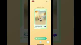 EVOLVING PIKIPEK ALL THE WAY IN POKEMON GO #pokemongo #hundo #pikipek #trumbeak #toucannon