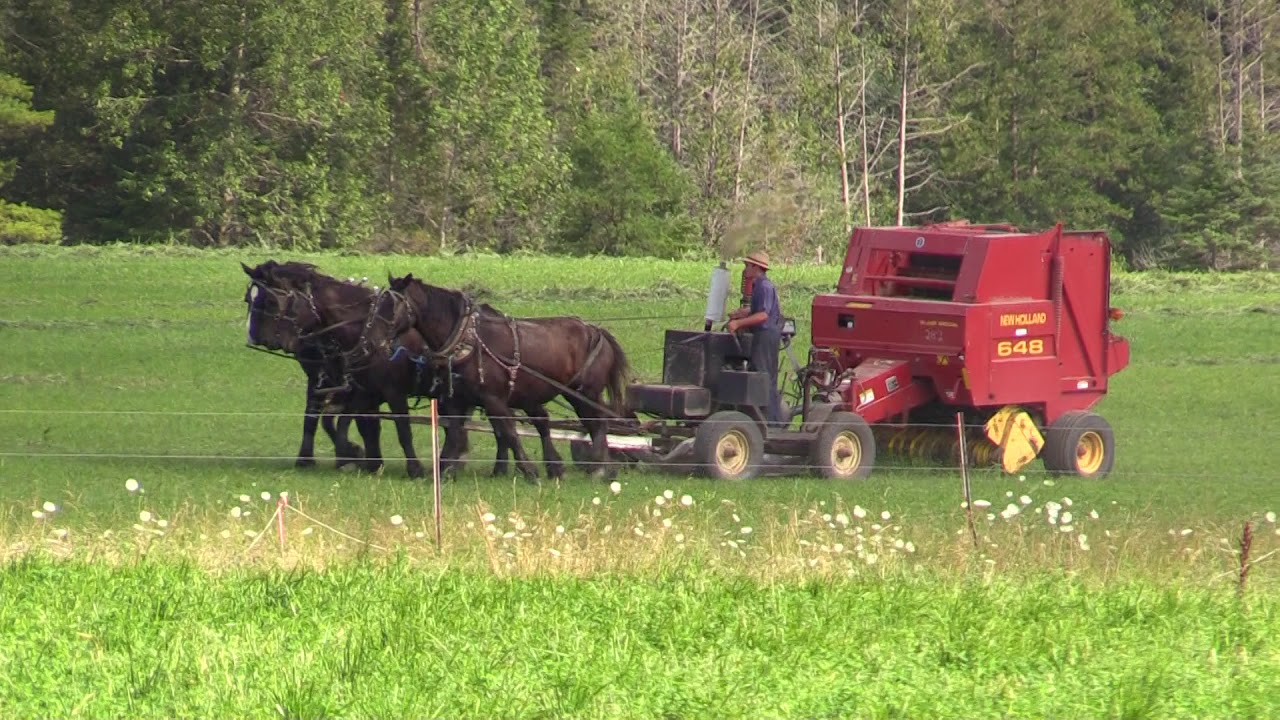 Amish Guy Covering His Bases. Mio, Michigan YouTube