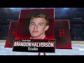 NCAA on NHL 17: UMass Lowell vs Hardvard Crimson (Part 2)