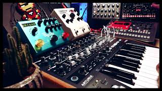007 Minitaurline Sky Minitaur Bline Db01 Er1 Og Drive Minibrute 2 Bigsky