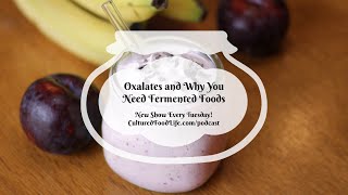 Podcast Episode 207: Oxalates and Why You Need Fermented Foods