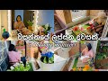 වසන්තයේ ලස්සන දවසක්🍃|Balcony makeover |planting🪴|Indoor plants |Life in japan🇱🇰🇯🇵