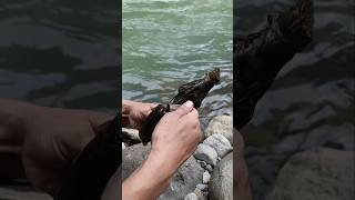 Menegangkan Api Muncul Di Tengah Sungai Ternyata Isi Pusaka Cambuk Api