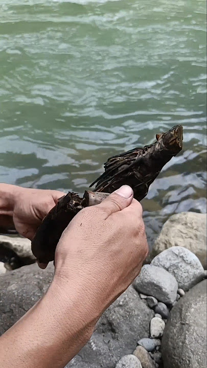 menegangkan api muncul di tengah sungai ternyata isi pusaka cambuk api #mistis #viralshort