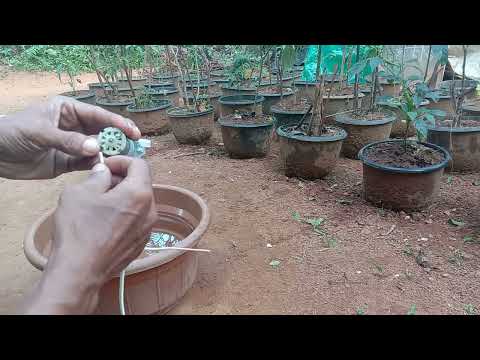 වතුර මෝටර් | Water Motor