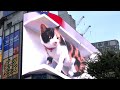 Giant 3D cat billboard dazzles in Tokyo