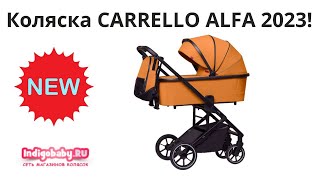 Коляска 2 в 1 Carrello Alfa CRL-6507 Новинка 2023! Новейший видеообзор, не пропусти!