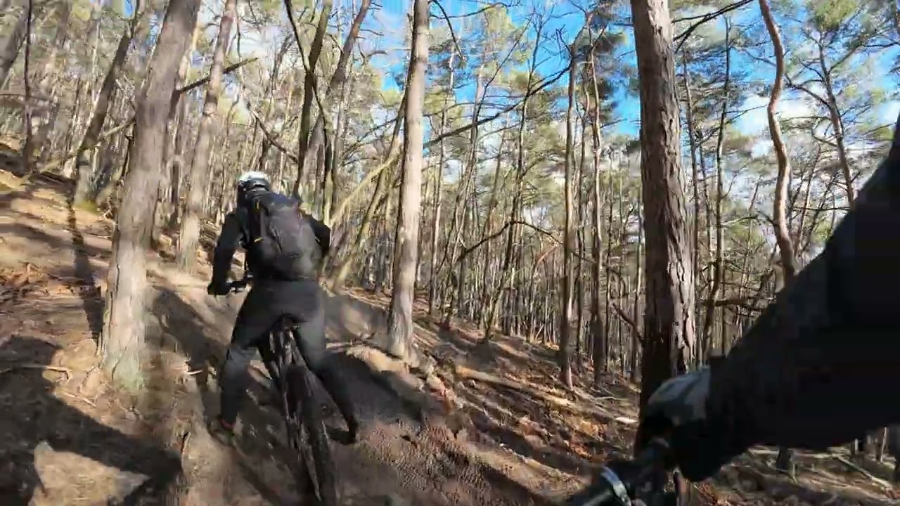 Crashtest Dummy MTB Tour Pfalz