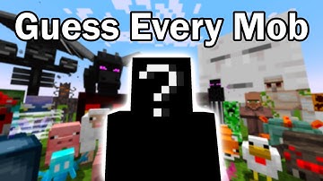Guess Every Minecraft Mob in 60 seconds
