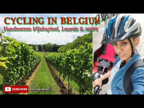 Cycling in Belgium in Flemish Brabant - Leuven to Horst Castle via Vandeurzen Vineyard | Flanders