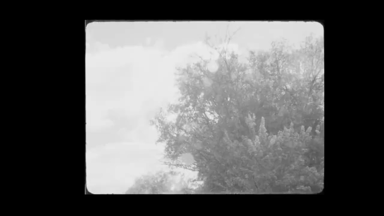 16mm Midterm Project