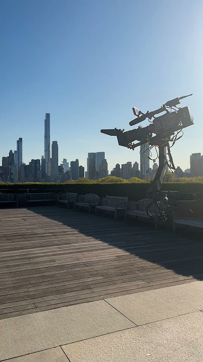 Take in the behind-the-scenes footage of The Roof Garden Commission: Petrit Halilaj, Abetare