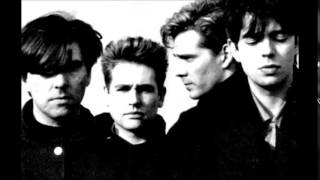 Echo &amp; The Bunnymen... Get In The Car