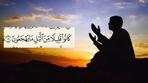 سورة الذريات بصوت انس شهاب