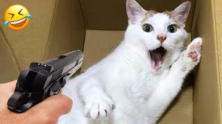 Try Not To Laugh 😂 Funniest Cats and Dogs 2024 😹🐶 Part 38