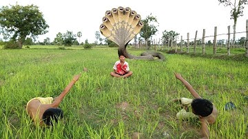 Awesome Snake Trap Using Fruit Plastic Foam Catch Many Snakes By Smart Boys