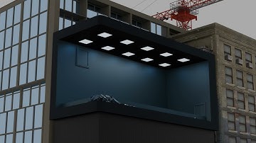 Anamorphic 3D Animation by GoKapture