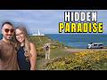 We Found the BEST Wild Camping Spot In Pembrokeshire | Vanlife UK