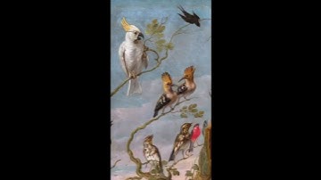 Thumbnail of The Concert of the Birds