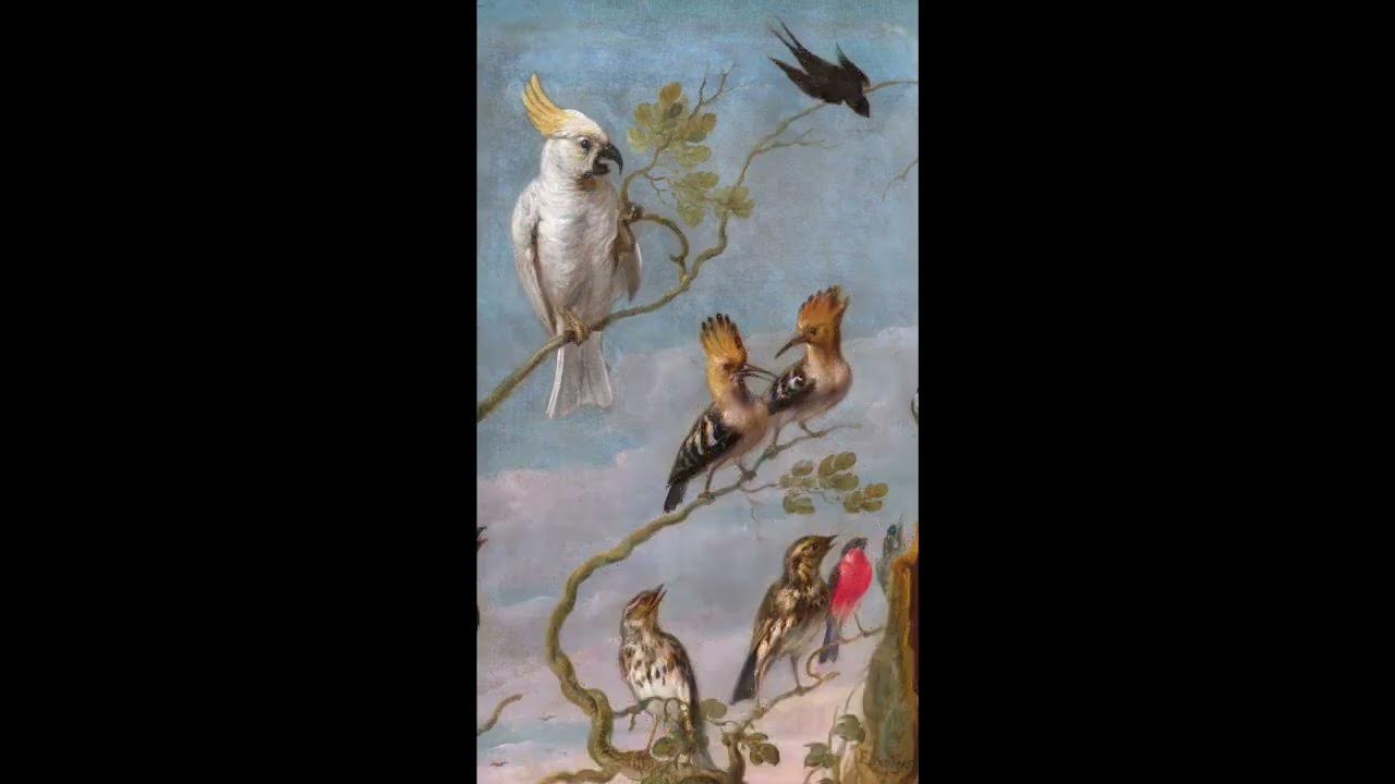 The Concert of the Birds