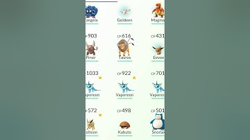 POKÉMON GO -  Eevee Evolution "Pyro"  for Flareon