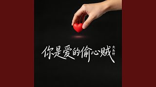 你是爱的偷心贼