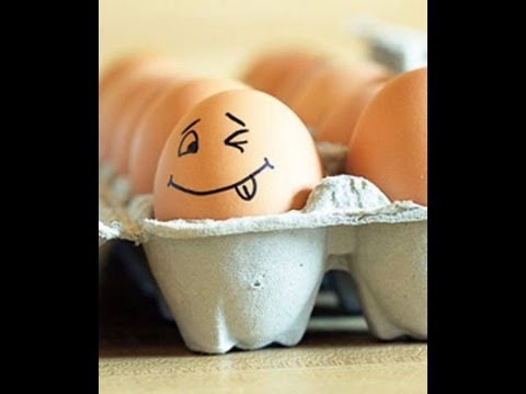 Яйца - screaming eggs - YouTube