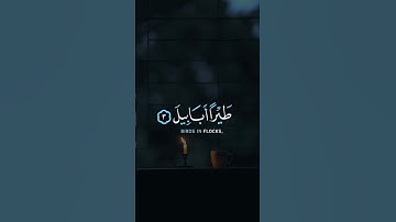 أَلَمْ تَرَ كَيْفَ فَعَلَ رَبّكَ بِأَصْحَابِ الْفِيلِ 🦋ماهر المعيقلي تلاوة خاشعة القرآن الكريم