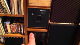 Design Acoustics PS-10 Speakers Review and Demo
