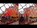 CP 8012 y 8758!!!!! Trenes UP y CPKC ( Trenes sin Audio )