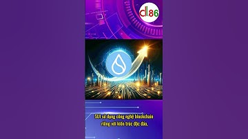 Khám phá hệ sinh thái SUI: Công nghệ blockchain đột phá cho tương lai! 🚀 #SUI #Crypto #NFT #DeFi