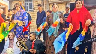 Nomadic Wedding Party: Woman Dance, Joy & Romance for Ali Family