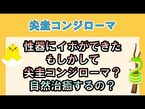 性器にイボができた、もしかして尖圭コンジローマ？自然治癒するの？