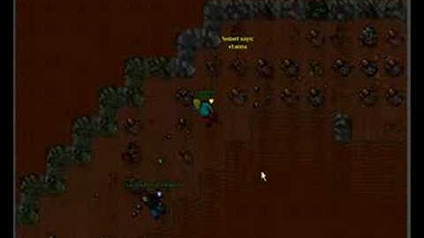 Crusader Helmet Quest Tibia