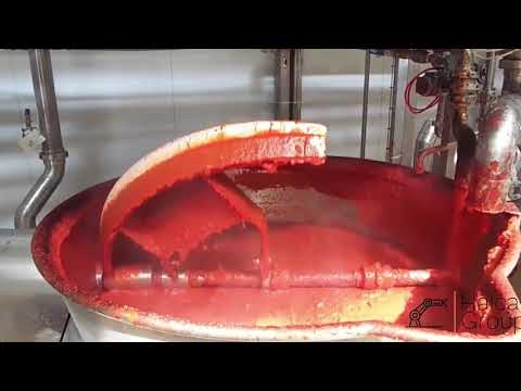 ტომატის საწარმოო დანადგარი • Tomato Making Machine