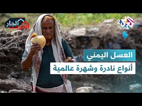 العسل اليمني الأغلى والأندر في العالم الجار الغريب