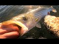 Birds, Bunker &amp; Bucktails - BLITZING STRIPED BASS - New York City Fall Striper Fishing