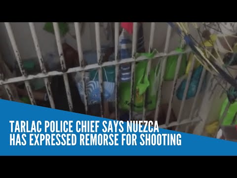 Tarlac police chief says Nuezca has expressed remorse for shooting