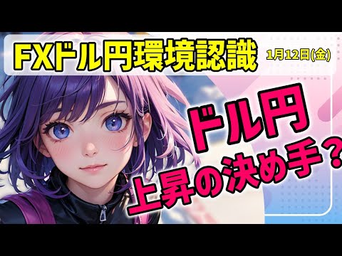 2024年1月12日(金)【FXドル円】環境認識 ドル円、４時間上昇しているけど、日足に抑えられているまだら模様　#FX #ドル円 #vtuber #チャート分析