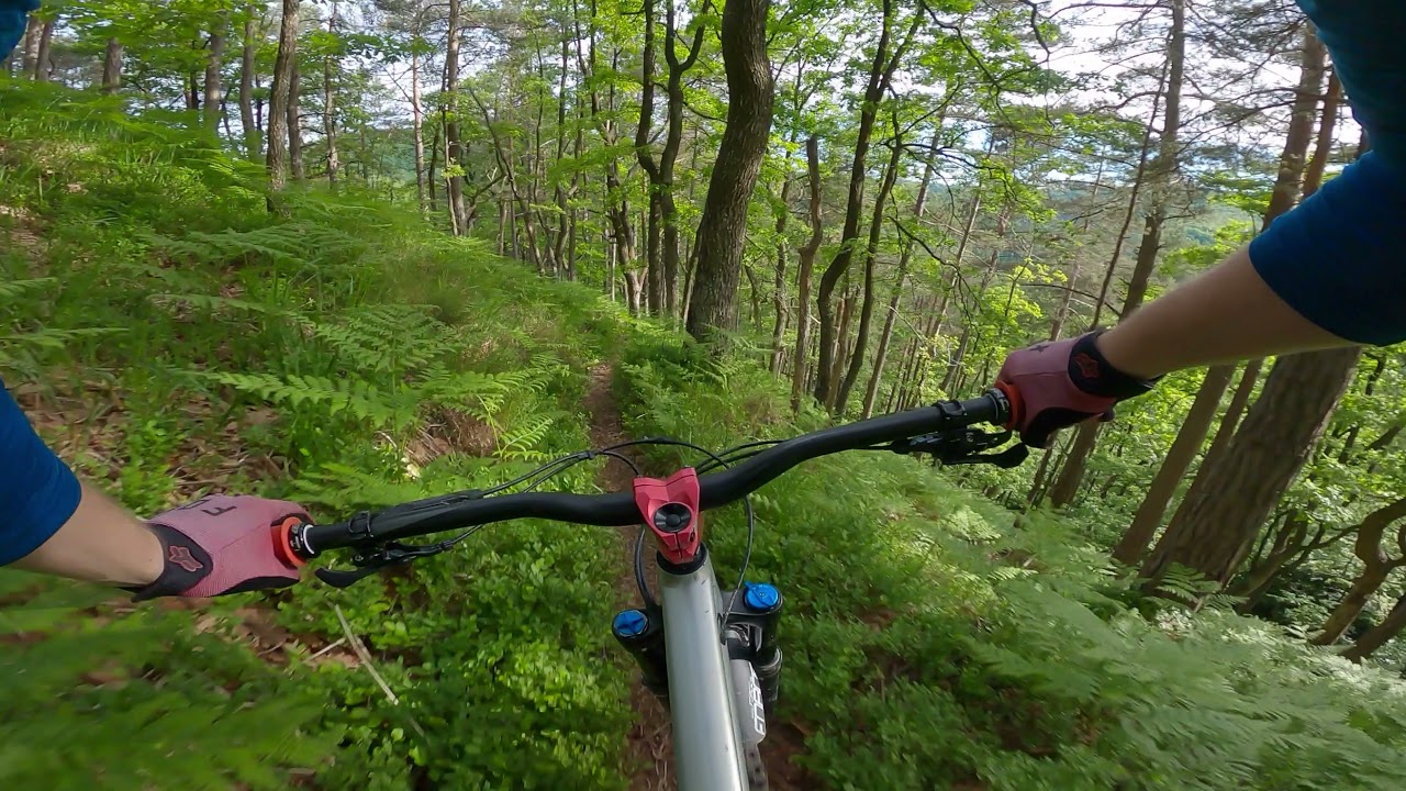 Dobra Vila // Trailandija // May 2021