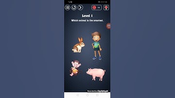 Brain test have guts to pass it level 1