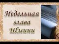 глава Шмини 5783 - рав Даниэль Булочник