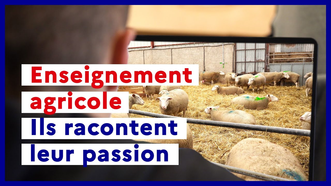 Enseignement agricole : une formation qui prépare à plus de 200 métiers